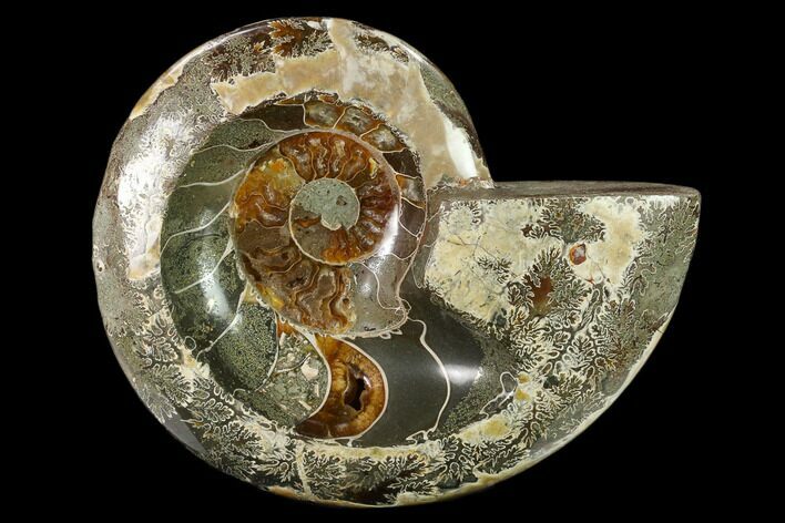Wide Polished Fossil Ammonite Dish - Inlaid Ammonite #137407